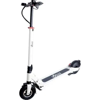 Elektrokoloběžka Recenze City Boss RX5 500 W