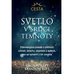Svetlo v srdci temnoty - Kevin Billet,…