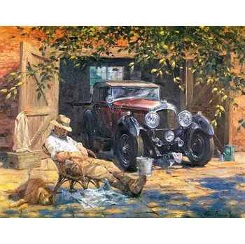 Gaira Veterán M1166