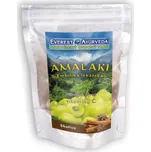 Everest Ayurveda Amalaki skořice 100 g