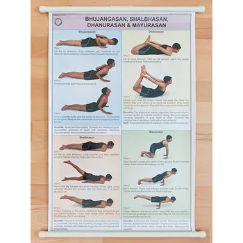 Plakát Bhujangasan Shalbhasan Dhanurasan & Mayurasan