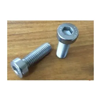 Stavební profil Šroub nízká válcová hlava M10x30