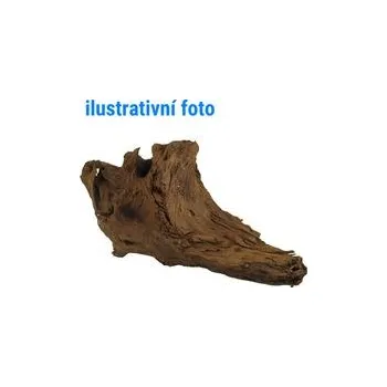 Dekorace do akvária Tatrapet akvarijní kořen Elbasia L driftwood 35-40 cm