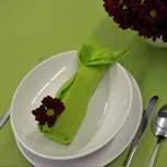 Nešpinivý / teflonový látkový ubrus UNI 3932 ŽLUTO-ZELENÁ, průměr 160cm (kruh)