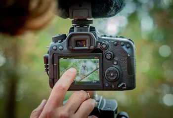 Focení přírody na Canon EOS 90D