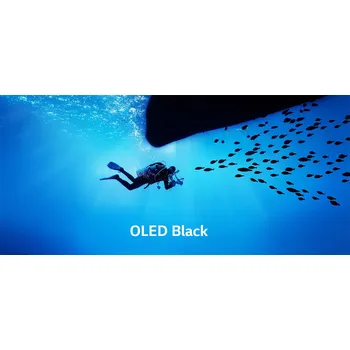 LG OLED55C9 OLED Black