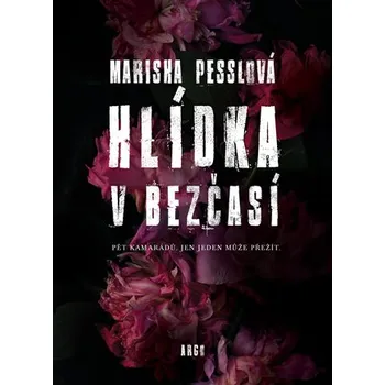 Hlídka v Bezčasí - Marisha Pesslová (2020, brožovaná bez přebalu lesklá)