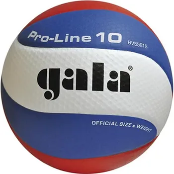 Volejbalový míč Míč volejbal PRO LINE 5581S vel 5
