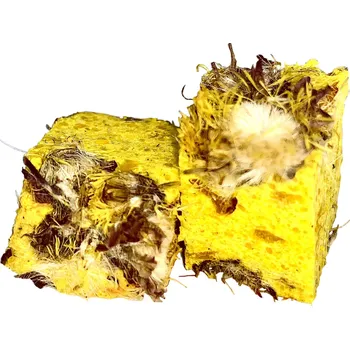 Boilies LK BAITS CUC! SPECIÁL CARP RECORD CORN 120G