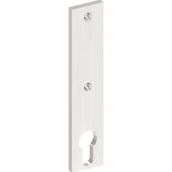 brána Feldmann Zámkový nerezový štítek - krytka rozeta 10678 bez otvoru pro kliku, 156x32 x tl.6 mm