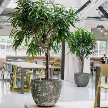 Květináč Lava premium couple green 55x48cm + doprava zdarma