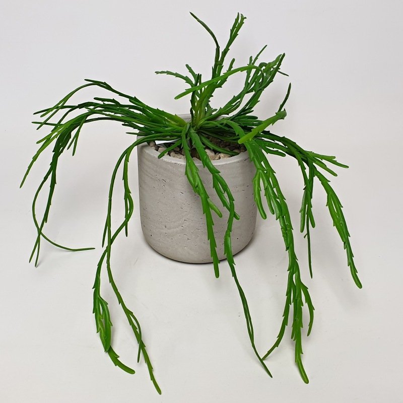 Umělý Rhipsalis pandora 35cm - Nezalévat