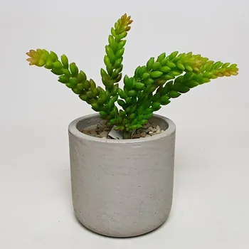 umělá květina Umělý sukulent 21cm - Nezalévat