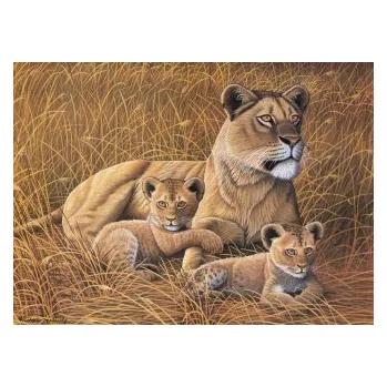 Malování podle čísel - Lvice a lvíčata