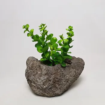 umělá květina Umělý sukulent 20cm - Nezalévat