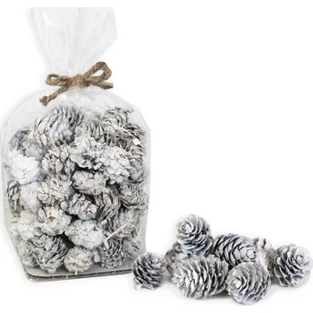 Zahradní dekorace Dekorační sušené plody 3,5cm bílá (772814)