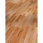 Parador Dřevěná podlaha - Buk Rustikal 1518246 lak (Parador) - třívrstvá