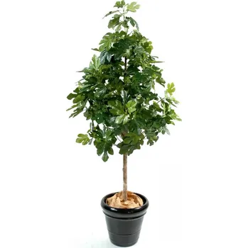 umělá květina FÍKOVNÍK S PLODY, 170cm (Luxusní umělý strom)