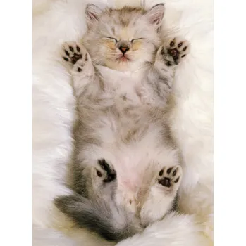 Ravensburger Puzzle Roztomilé kotě XXL 300 dílků Puzzle Ravensburger Puzzle Roztomilé kotě XXL 300 dílků