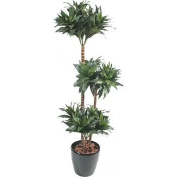 umělá květina DRACAENA FRAGRANS, 120cm (Luxusní umělý strom)