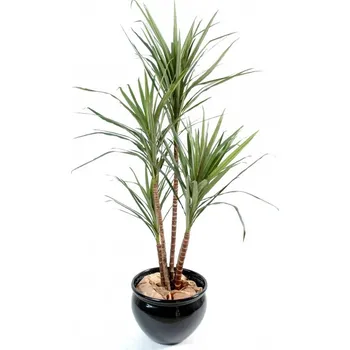 umělá květina DRACAENA MARGINATA, 110cm (Luxusní umělá palma)