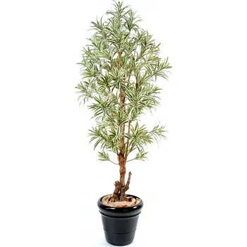 umělá květina DRACAENA REFLEXA STROM zelená/žlutá, 180cm (Luxusní umělý strom)