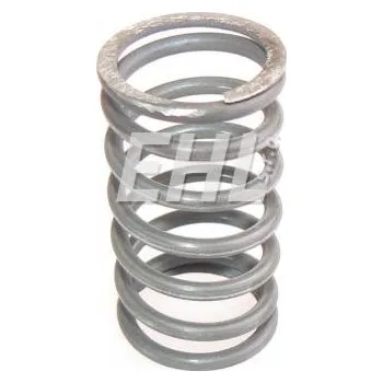 Válec motoru Pružina ventilu vnitřní 89.005.502