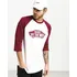 Pánské tričko VANS Otw Raglan bílé/červené