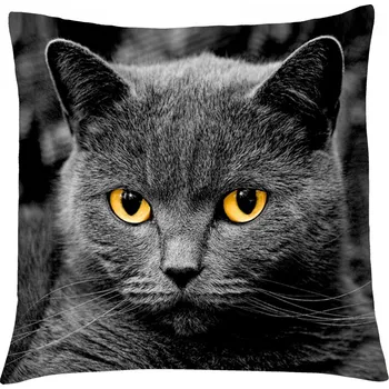 Polštář MyBestHome PRINT Polštář s motivem kočky 02 Mybesthome 40x40 cm Varianta: Povlak na polštář, 40x40 cm