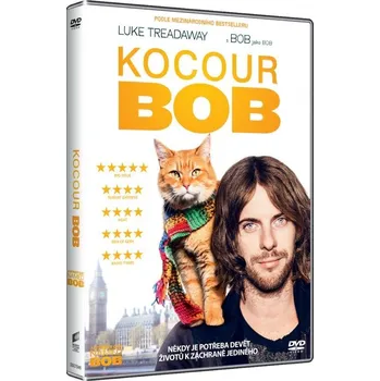 DVD film Recenze DVD Kocour Bob (2016)