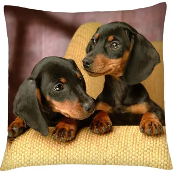 Polštář Polštář s motivem psa 21 Mybesthome 40x40 cm Varianta: Povlak na polštář, 40x40 cm