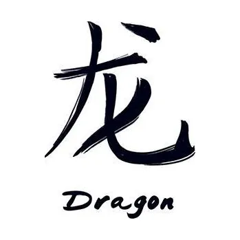 Odstranitelné tetování Znamení čínského zvěrokruhu Drak - nalepovací tetování