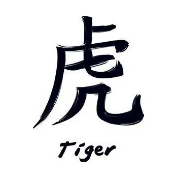 Odstranitelné tetování Znamení čínského zvěrokruhu Tygr - nalepovací tetování