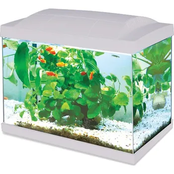 HAILEA K20 20 l