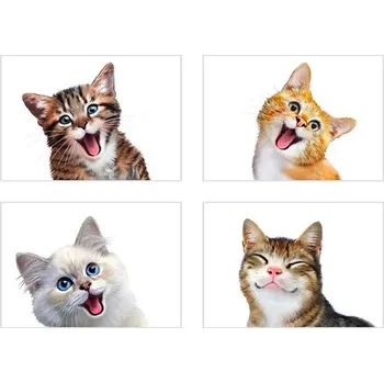 Samolepící dekorace Samolepky na zeď SPSC 13064 SK1 rozměr 45 x 65 cm selfie kočky