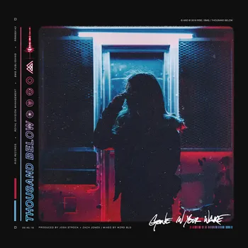 Zahraniční hudba Gone In Your Wake - Thousand Below [LP]