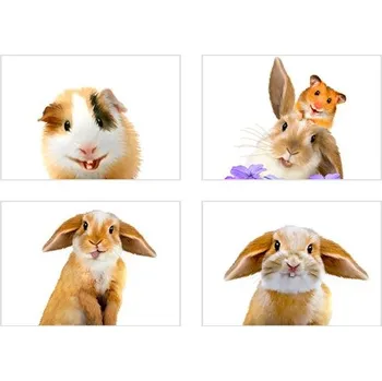 Samolepící dekorace Samolepky SPSC 13063 SK1 rozměr 45 x 65 cm morče a králíček