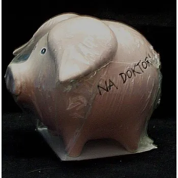 Pokladnička Keramická pokladnička prasátko napis na doktora