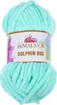 Himalaya Dolphin Big