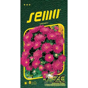 Semeno Semo Smržice Astra čínská - Průhonický trpaslík šarlatový (Pinocchio Scarlet) 0,5g