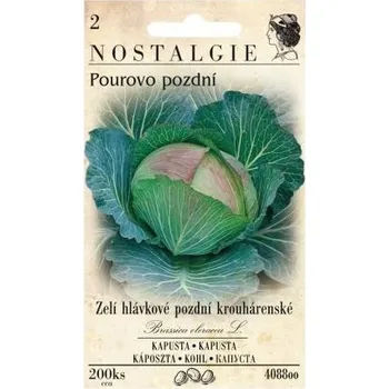 Pěstitelství Nohel Garden Zelí hlávkové Pourovo pozdní - NOSTALGIE