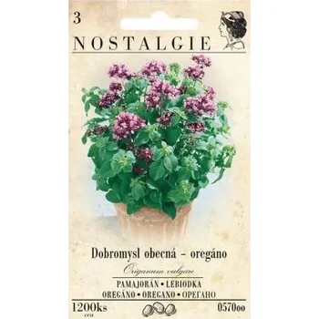 Pěstitelství Nohel Garden Dobromysl obecná Oregáno - NOSTALGIE