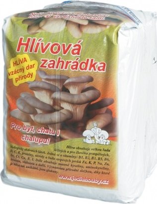 Hlíva ústřičná - pěstební substrát