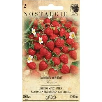 Pěstitelství Nohel Garden Jahodník měsíční Rujana - NOSTALGIE