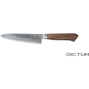 Pracovní nůž Japonský nůž 719372 - Arata Hocho, Gyuto, Fish and Meat Knife