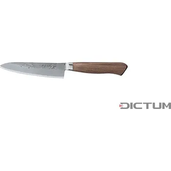 Pracovní nůž Japonský nůž 719371 - Arata Hocho, Gyuto, Fish and Meat Knife