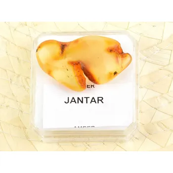 Sběratelství Jantar z Litvy 2.61g