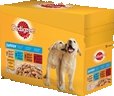 Pedigree kapsička 12x100g Junior