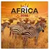 Kalendář Presco Group poznámkový kalendář Divoká Afrika 2020
