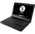 Notebook Eurocom Tornado F5W (F5WC01CZ100)